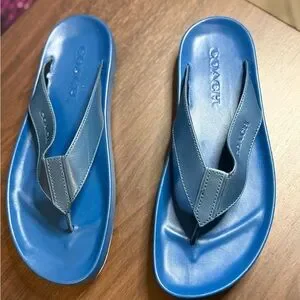 Coach | Shoes | Coach Vibrant Blue Sandals | Poshmark display picture 1